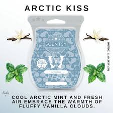 Scentsy Bar - Arctic Kiss