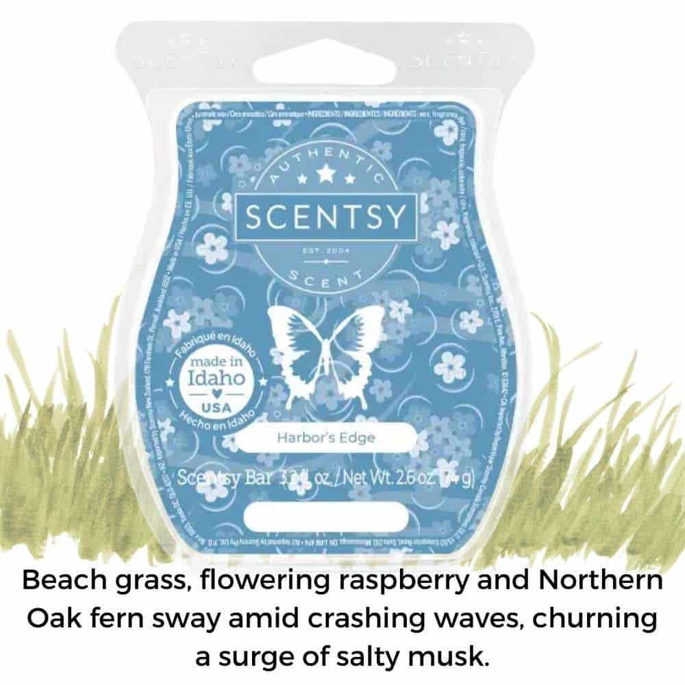 Scentsy Bar - Harbor's Edge