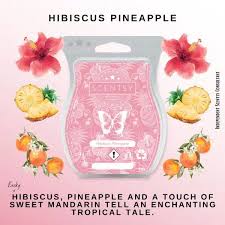 Scentsy Bar - Hibiscus Pineapple