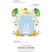 Scentsy Bar - Inhale, Exhale