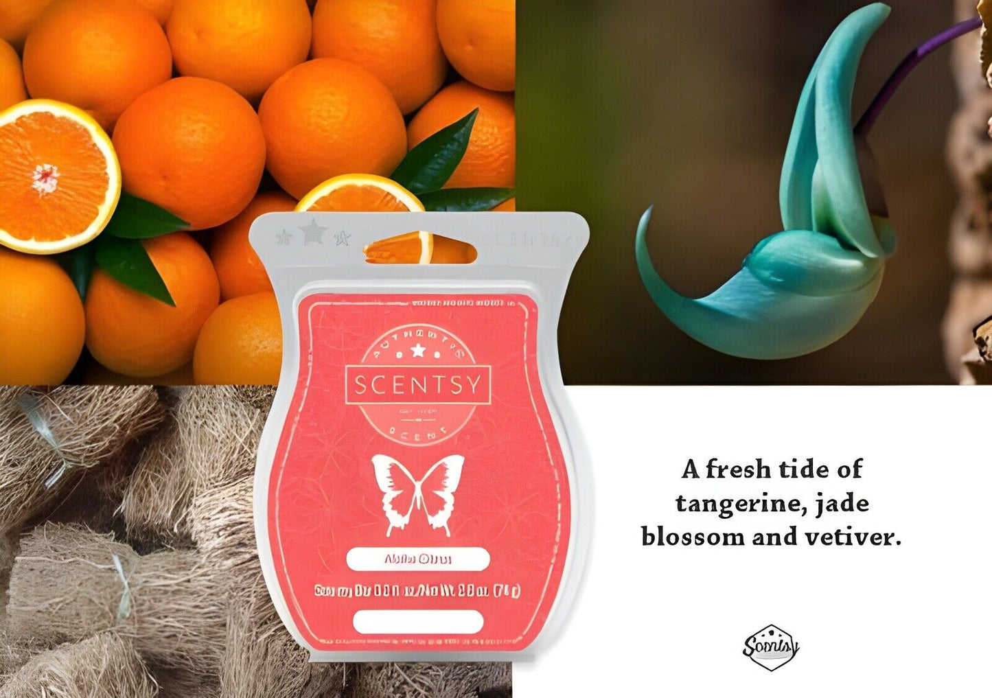Scentsy bar - Aloha Citrus