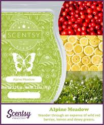 Scentsy Bar - Alpine Meadow