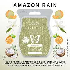 Scentsy Bar - Amazon Rain