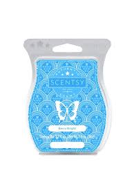 Scentsy Bar - Berry Bright