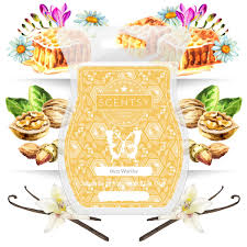 Scentsy Bar - Buzz Worthy