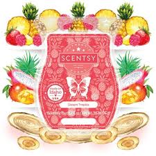 Scentsy Bar - Desert Tropics