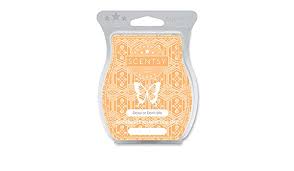 Scentsy Bar - Dewy or Don't We