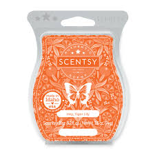 Scentsy Bar - Hey, Tiger Lily