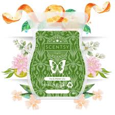 Scentsy Bar - Ivy & Water Lily