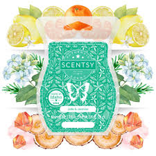 Scentsy Bar - Jade & Jasmine