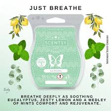 Scentsy Bar - Just Breathe