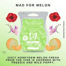 Scentsy Bar - Mad For Melon