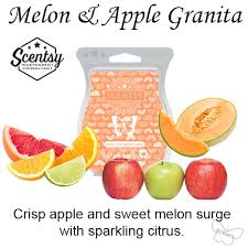 Scentsy Bar - Melon & Apple Granita
