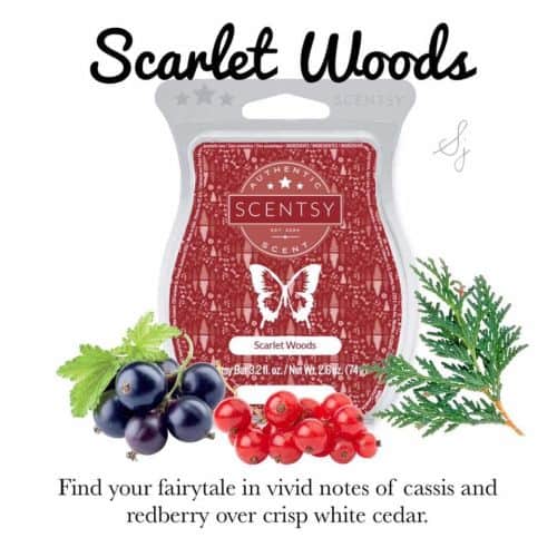 Scentsy Bar - Scarlet Woods