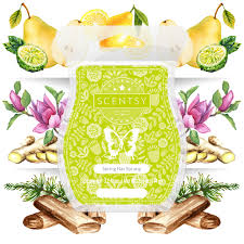 Scentsy Bar - Spring Has Sprung