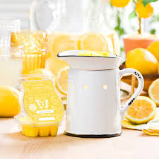 Scentsy Bar - Squeeze The Day