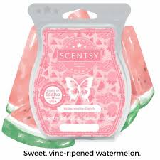 Scentsy Bar - Watermelon Patch