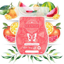 Scentsy Bar - Watermelon Tangerine