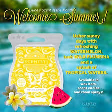 Scentsy Bar - Welcome Summer
