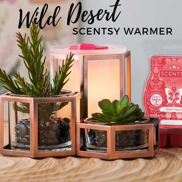 Scentsy Warmer