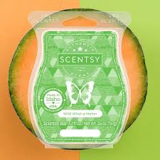 Scentsy Bar - Wild What-A-Melon